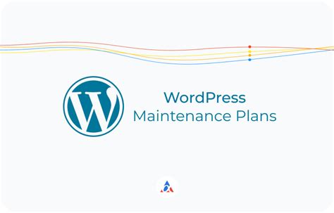 Premium Wordpress Maintenance Plans Alpha Efficiency