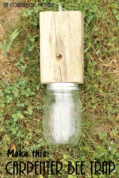To get rid of wood bees, we need the following instruments to make up different traps: 25+ bästa Carpenter bee trap idéerna på Pinterest