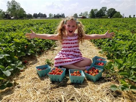Take The Whole Family On A Day Trip To This Pick-Your-Own Strawberry ...