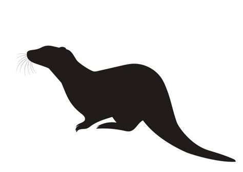 Otter Clip Art Vector Images And Illustrations Istock