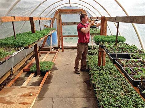 Urban Backyard Farming For Profit Mother Earth News
