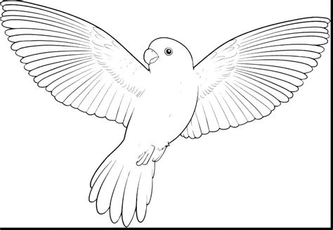 Flying Bird Coloring Pages at GetDrawings | Free download