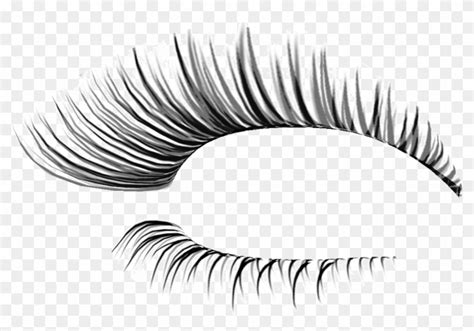 Download Library of eyelash graphic freeuse stock png png files Clipart Art 2019
