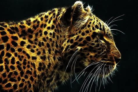 Support us by sharing the content, upvoting wallpapers on the page or sending your own background pictures. Black Leopard Background ·① WallpaperTag
