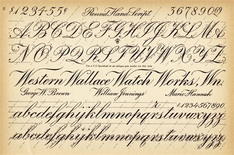 Teach your pupils to dot their i's and cross their t's with our alphabet handwriting worksheets that doubles as a correct letter formation chart. Pin by Orsi on Figura Litterae | Script alphabet, Handwriting, Lettering