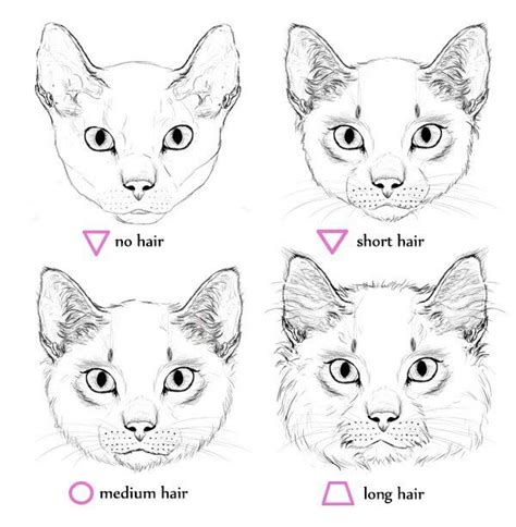 Pin By Lemon Zesst On Art Technique Cat Drawing Tutorial Cat Face