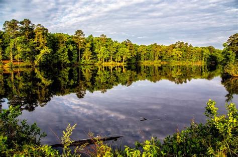 Cabins have two bedrooms, open living room, dining room, kitchen. Santee State Park - Santee South Carolina SC