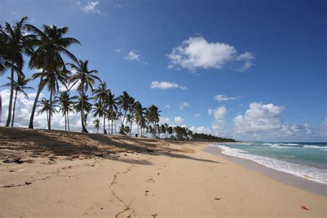 Por su posición latitudinal ( 1o a 12o n), al norte de sudamérica, venezuela está bajo la influencia de la hondonada intertropical de bajas presiones ecuatoriales. Clima en República Dominicana