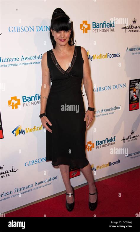 Pauley Perrette The American Humane Associations First Annual Hero Dog