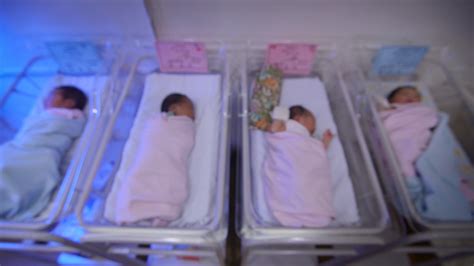 Saujana puchong corner lot house for sale. Babies for sale