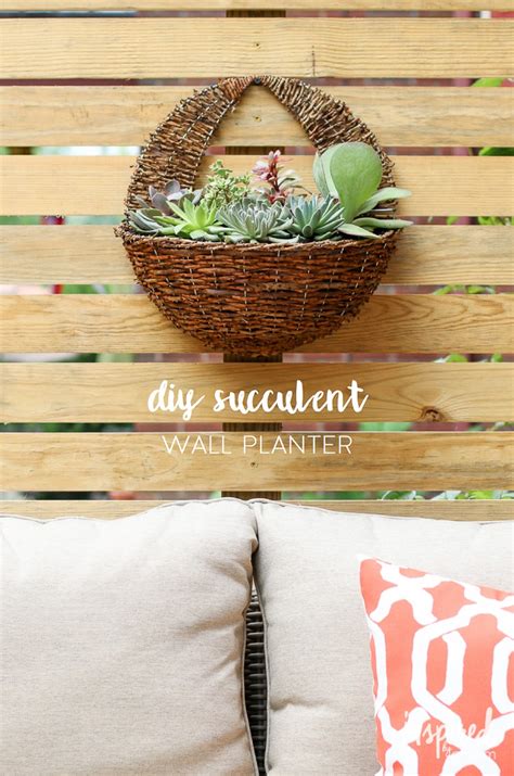 Diy Succulent Wall Planter