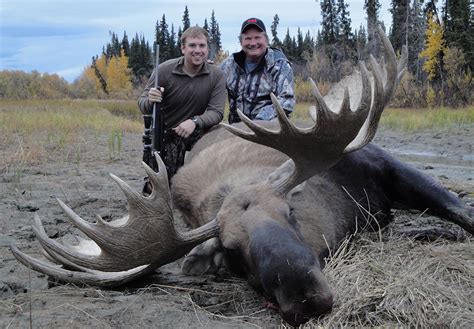 Silakan klik alaskan moose hunt 2019 diy untuk melihat artikel selengkapnya. DIY Moose Hunts Alaska | Moose Hunting