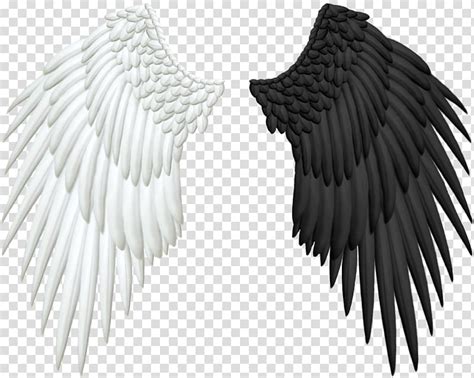 Find images of transparent wings. Angel Wing , Wings transparent background PNG clipart ...