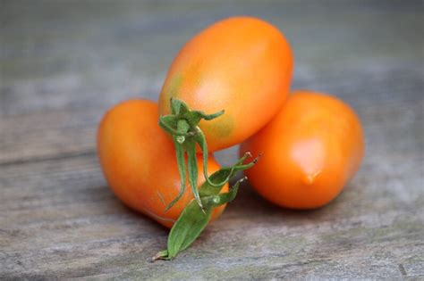 Paste Tomato Seeds Orange Banana Legs Organic Seed Heirloom Etsy