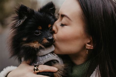 11 Common Dog Habits That Mimic Their Owners Behavior