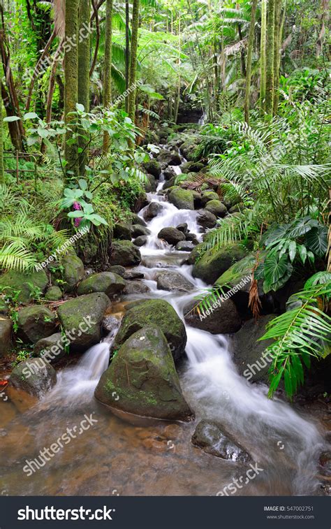 Beautiful Waterfall Green Tropical Forest Jungle Stock