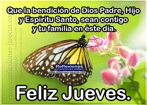 Oraciones catolicas básicas, de protección, de intercesión, de perdón y de agradecimiento, ¿cómo orar a dios padre? Gracias Señor por mantenernos de pie, feliz jueves | Feliz ...