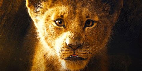 All of the animals come to the ceremony, except for mufasa's brother scar (jeremy irons). Disney Drops The Lion King Teaser Trailer | CBR