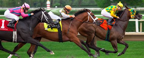 Developed as a centralized racing and competition service, iracing organizes, hosts and officiates online racing on virtual tracks all around the world. Feds Say Horse Racing Used For Cartel Money Laundering | KPBS