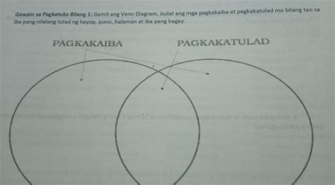 Gawain Gamit Ang Venn Diagram Isulat Ang Mga Pagkakaiba At Hot Sex