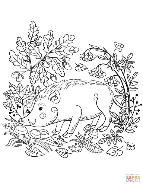 Wild Boar In The Forest Coloring Page Free Printable Coloring Pages