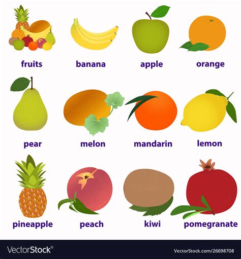 Names Of Fruits In English Fruits Names For Kids