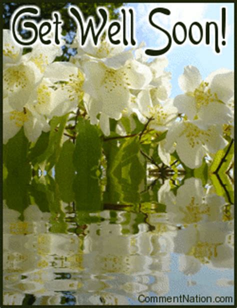 The best gifs of get well soon on the gifer website. Get Well Soon Reflecting White Flowers Image: Graphic ...