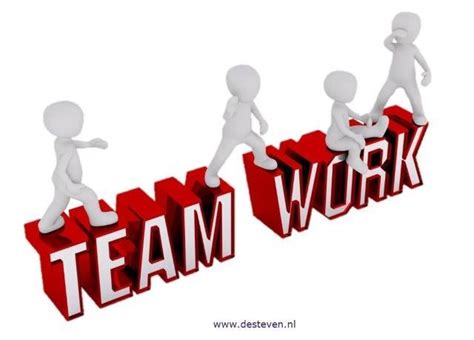 Training Effectief Samenwerken Team En Organisatie