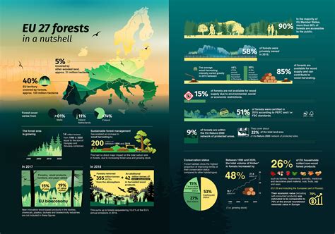 Forests In Europe European Forest Institute