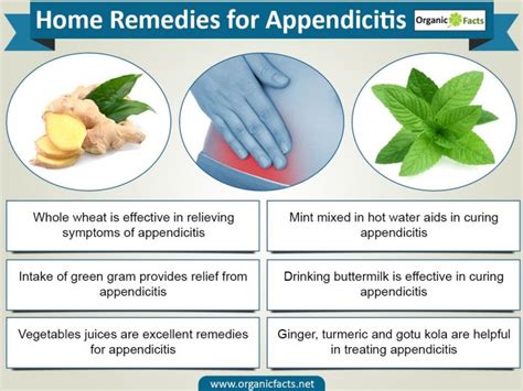 Home Remedies For Appendicitis Organic Facts