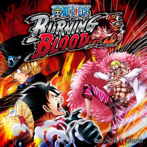 One Piece Burning Blood 2016 PlayStation 4 Box Cover Art MobyGames
