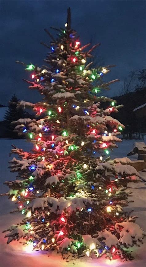 Pleasant Valley Christmas Tree Lighting Celebration