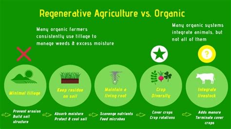 What Is Regenerative Agriculture And Why It Matters Ourgoodbrands