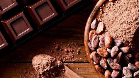 Cacao Tutte Le Proprietà E I Benefici