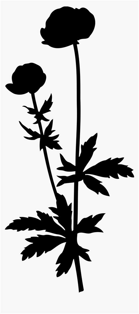Globeflower Silhouette Clip Arts Tall Flower Png Transparent Png