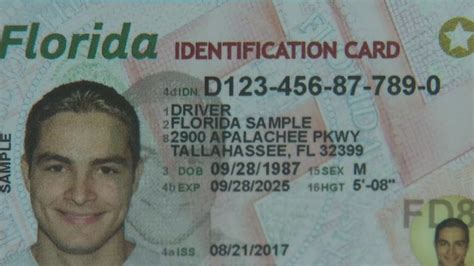 ¿qué Hay De Nuevo En La Licencia De Conducir De Florida Univision 23