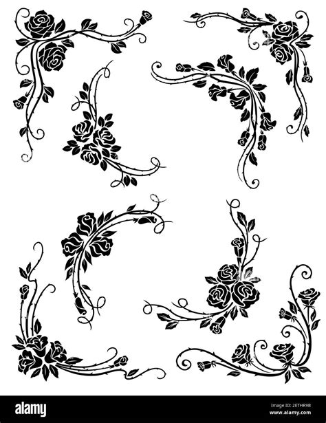 Rose Vine Border Black And White Stock Photos And Images Alamy