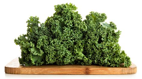 It's extremely rich in vitamin k, which is believed to improve bone density in dogs and help your dog develop. Can Dogs Eat Broccoli, Cabbage, Kale and Cauliflower?