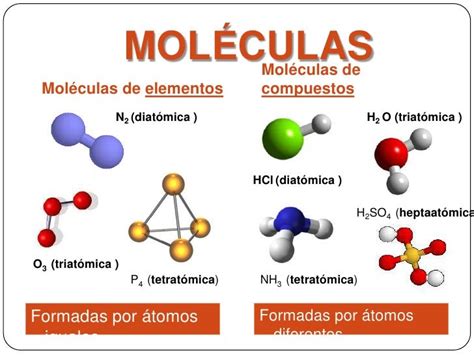 La Molécula Enero 2016