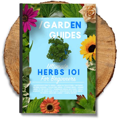 Ultimate Herbs 101 for Beginners - The Indoor Gardener