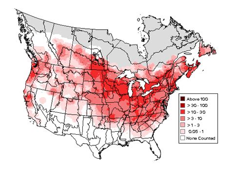 American Goldfinch Breeding Range Map