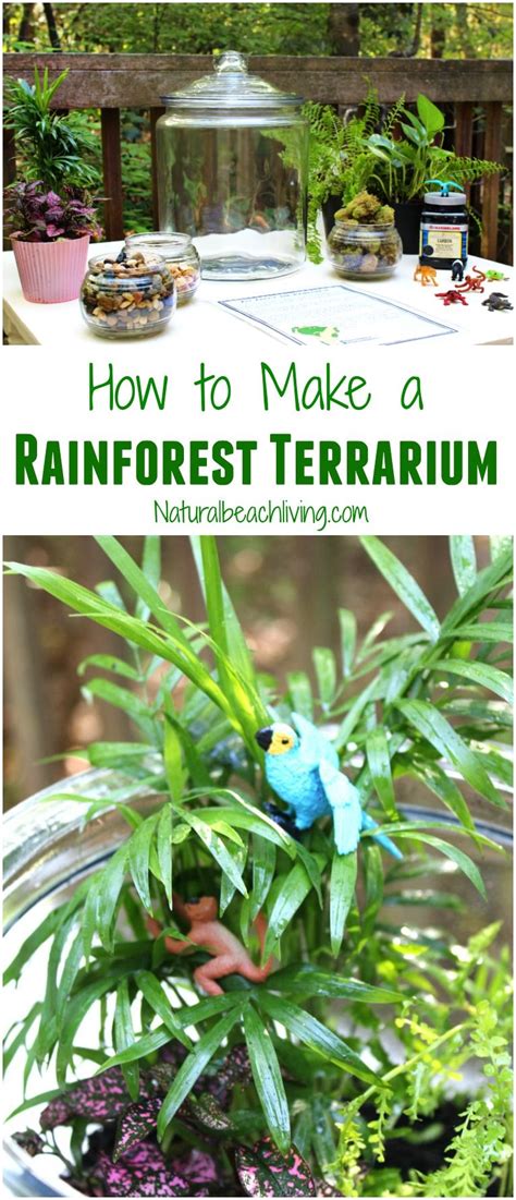 It is the natural environment in which an organism lives, or the physical environment that surrounds a population. Ecosystem Definition For Kids | Examples and Forms