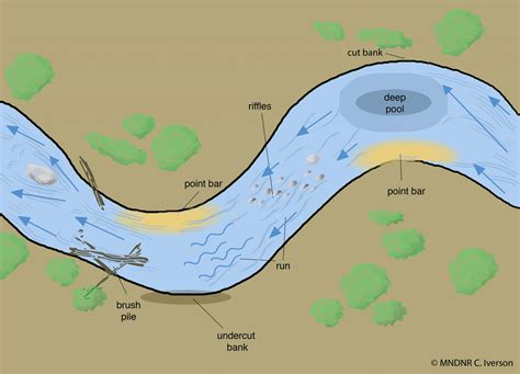 A Meandering Story An Introduction To Stream Geomorphology Great