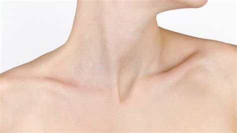 Female Neck And Shoulders Stock Image Image Of Model 104053231
