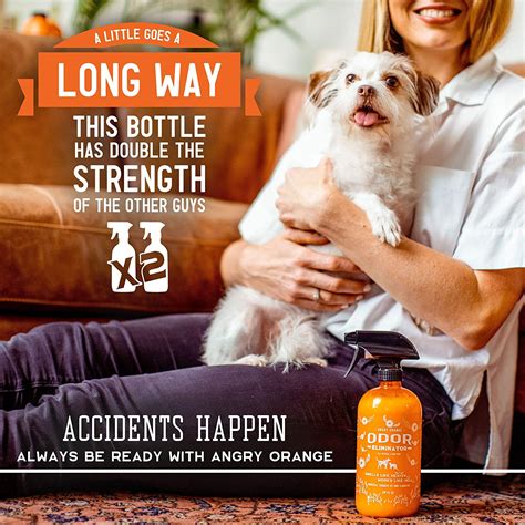 Citrus fruits like lemons, limes, and grapefruit as well as persimmons can cause an upset stomach. ANGRY ORANGE Ready-to-Use Citrus Pet Odor Eliminator Pet ...