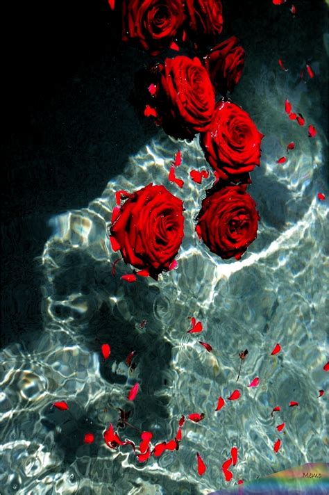We did not find results for: Mar 28, 2020 - - aesthetics #redwallpaper # ...