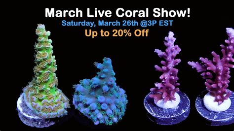 Reefbums March 2022 Live Coral Sale Youtube