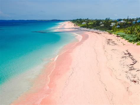 Where To Find Pink Sand Beaches And Black And Green Photos