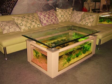 Awesome Fish Tank Ideas You Will Love