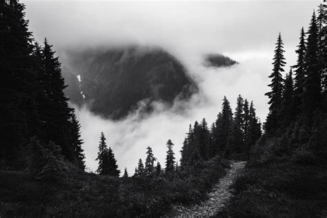 Dark Landscape Montana Mountains Misty